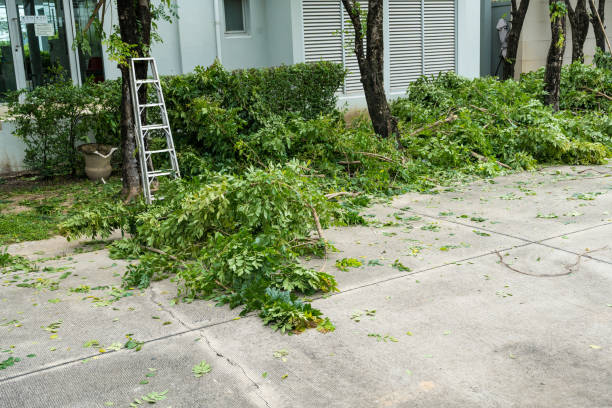 Best Commercial Tree Services  in Bulverde, TX